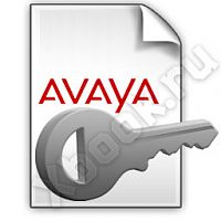 AVAYA 171995