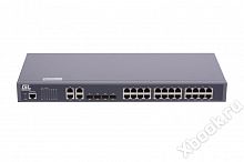 GIGALINK GL-SW-F201-28