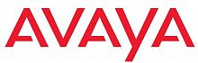 Avaya 700420789