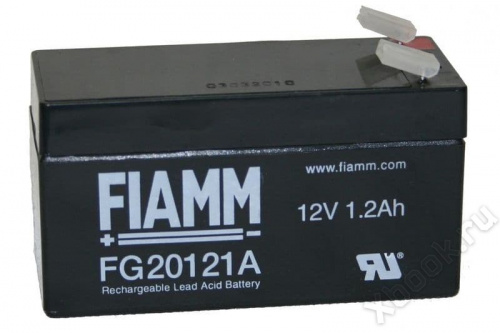 FIAMM FG20121A вид спереди
